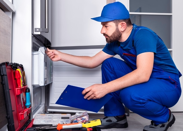 Servicios profesionales de traducción