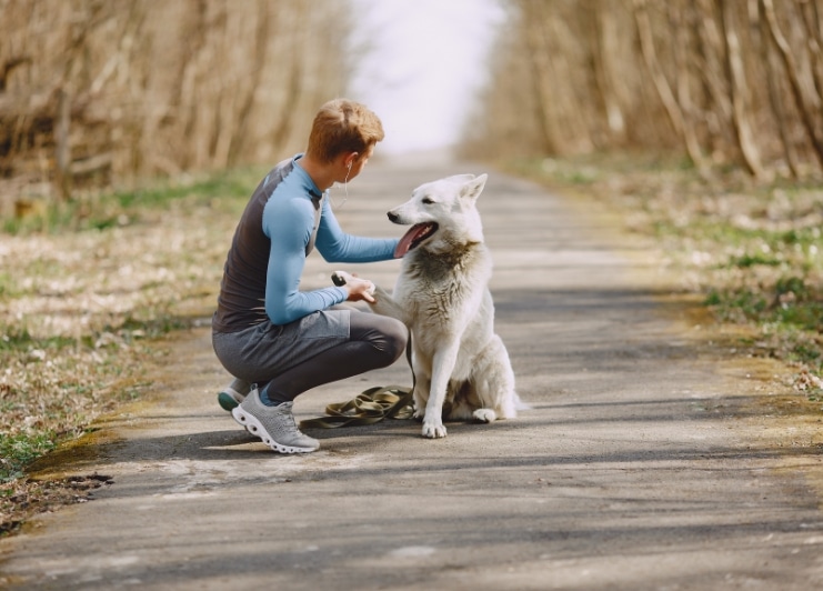 Traducciones técnicas precisas